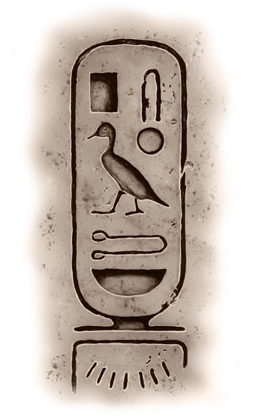 J^Öׂɐ삳ꂽAX[p[ACXg̏ی`łB